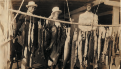 A catch made from the houseboat Evergaldes in the 19320s. Photo credit: Monroe County Library.